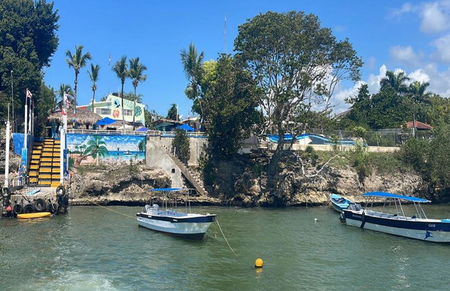 Explore Catalina Island and Altos de Chavon - Full-Day Tour - Foto 4